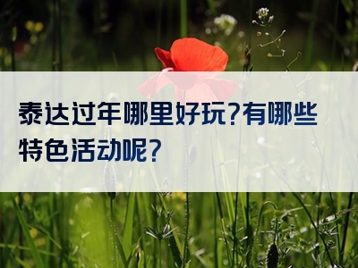 泰达过年哪里好玩？有哪些特色活动呢？