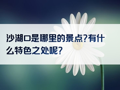 沙湖口是哪里的景点？有什么特色之处呢？