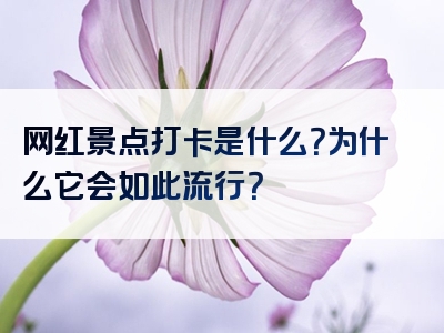 网红景点打卡是什么？为什么它会如此流行？