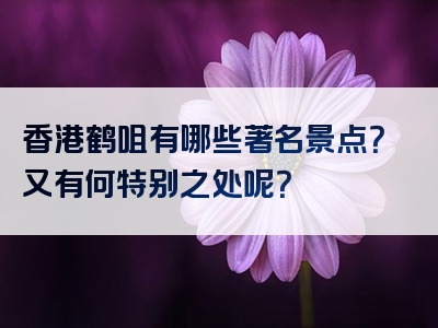 香港鹤咀有哪些著名景点？又有何特别之处呢？