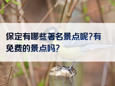 保定有哪些著名景点呢？有免费的景点吗？