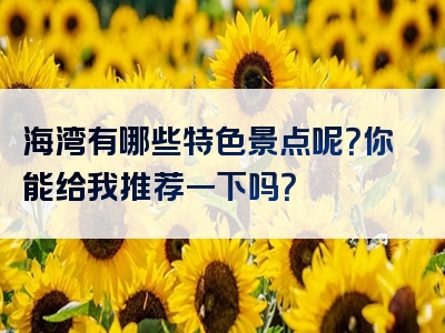海湾有哪些特色景点呢？你能给我推荐一下吗？