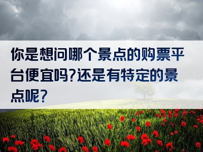 你是想问哪个景点的购票平台便宜吗？还是有特定的景点呢？