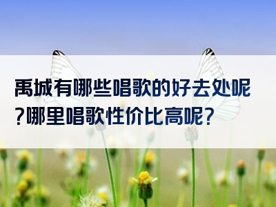 禹城有哪些唱歌的好去处呢？哪里唱歌性价比高呢？