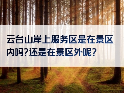 云台山岸上服务区是在景区内吗？还是在景区外呢？