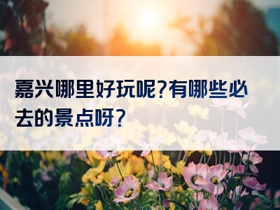嘉兴哪里好玩呢？有哪些必去的景点呀？