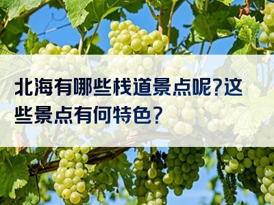 北海有哪些栈道景点呢？这些景点有何特色？