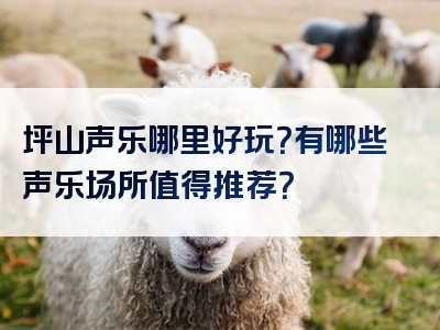 坪山声乐哪里好玩？有哪些声乐场所值得推荐？