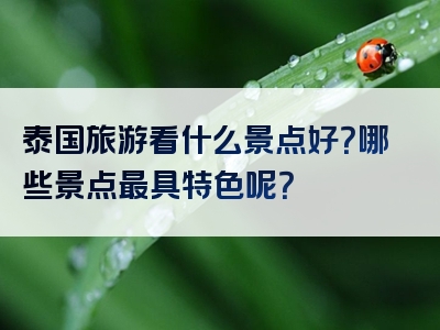 泰国旅游看什么景点好？哪些景点最具特色呢？