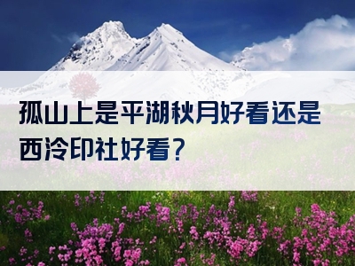孤山上是平湖秋月好看还是西泠印社好看？