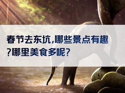 春节去东坑，哪些景点有趣？哪里美食多呢？