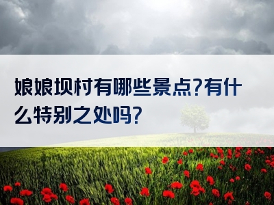娘娘坝村有哪些景点？有什么特别之处吗？