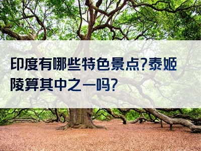 印度有哪些特色景点？泰姬陵算其中之一吗？