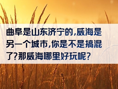 曲阜是山东济宁的，威海是另一个城市，你是不是搞混了？那威海哪里好玩呢？