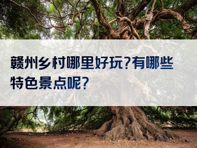 赣州乡村哪里好玩？有哪些特色景点呢？