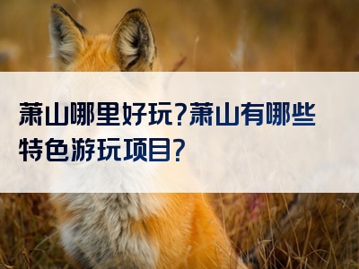 萧山哪里好玩？萧山有哪些特色游玩项目？