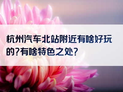 杭州汽车北站附近有啥好玩的？有啥特色之处？