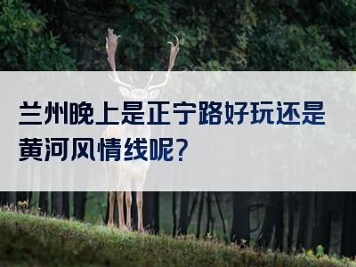 兰州晚上是正宁路好玩还是黄河风情线呢？
