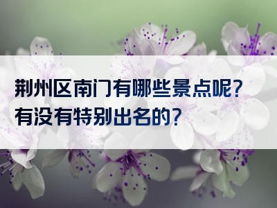 荆州区南门有哪些景点呢？有没有特别出名的？