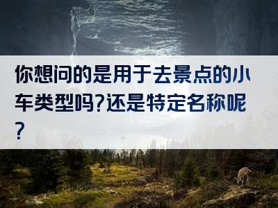 你想问的是用于去景点的小车类型吗？还是特定名称呢？