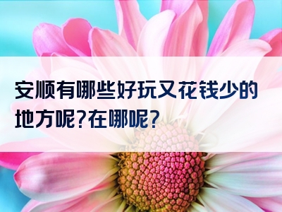 安顺有哪些好玩又花钱少的地方呢？在哪呢？