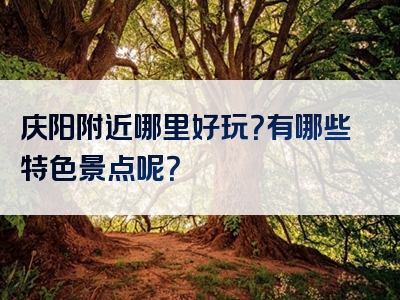 庆阳附近哪里好玩？有哪些特色景点呢？