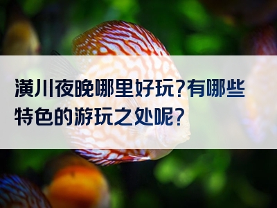 潢川夜晚哪里好玩？有哪些特色的游玩之处呢？