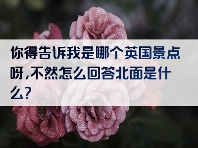 你得告诉我是哪个英国景点呀，不然怎么回答北面是什么？
