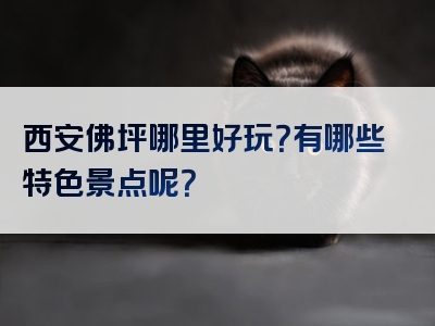西安佛坪哪里好玩？有哪些特色景点呢？