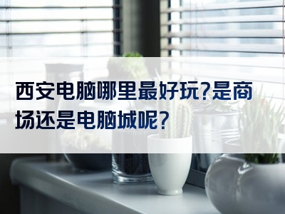 西安电脑哪里最好玩？是商场还是电脑城呢？