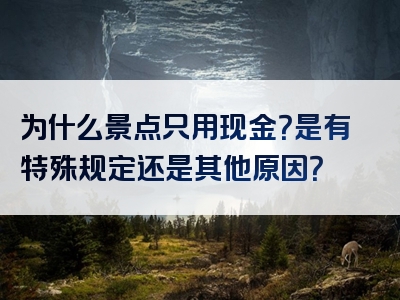 为什么景点只用现金？是有特殊规定还是其他原因？