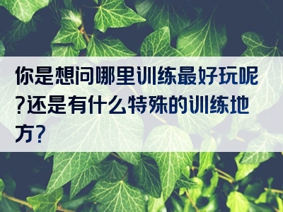 你是想问哪里训练最好玩呢？还是有什么特殊的训练地方？