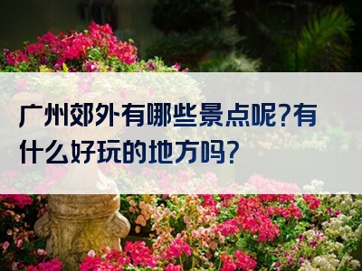 广州郊外有哪些景点呢？有什么好玩的地方吗？