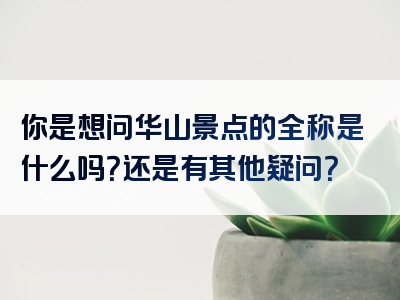 你是想问华山景点的全称是什么吗？还是有其他疑问？