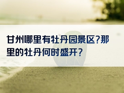 甘州哪里有牡丹园景区？那里的牡丹何时盛开？