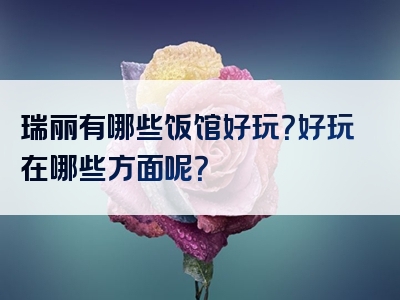 瑞丽有哪些饭馆好玩？好玩在哪些方面呢？