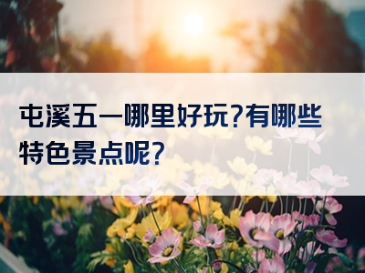 屯溪五一哪里好玩？有哪些特色景点呢？
