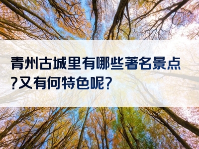 青州古城里有哪些著名景点？又有何特色呢？