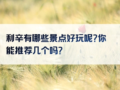 利辛有哪些景点好玩呢？你能推荐几个吗？