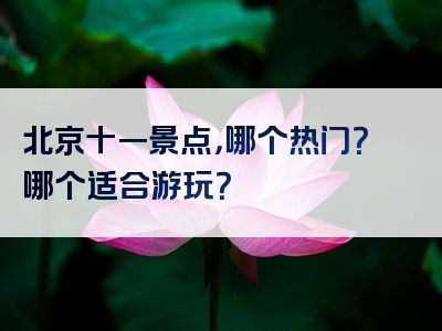 北京十一景点，哪个热门？哪个适合游玩？