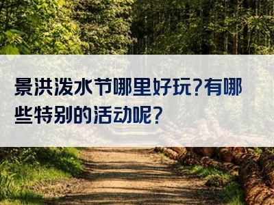 景洪泼水节哪里好玩？有哪些特别的活动呢？