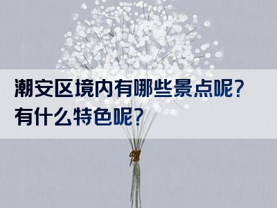 潮安区境内有哪些景点呢？有什么特色呢？