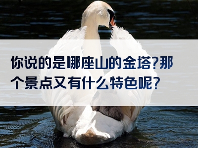 你说的是哪座山的金塔？那个景点又有什么特色呢？