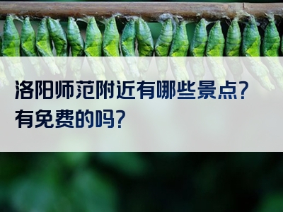 洛阳师范附近有哪些景点？有免费的吗？