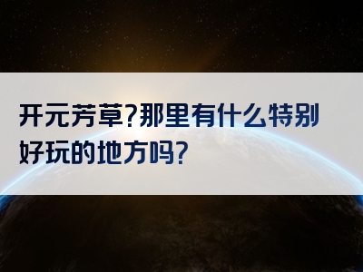 开元芳草？那里有什么特别好玩的地方吗？