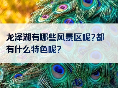 龙泽湖有哪些风景区呢？都有什么特色呢？