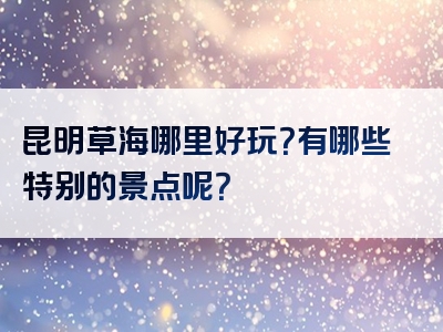 昆明草海哪里好玩？有哪些特别的景点呢？