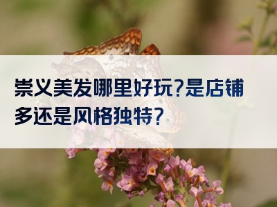 崇义美发哪里好玩？是店铺多还是风格独特？