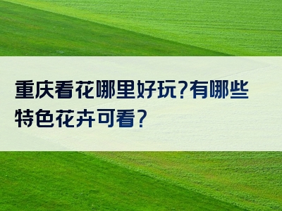 重庆看花哪里好玩？有哪些特色花卉可看？