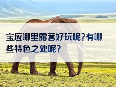 宝应哪里露营好玩呢？有哪些特色之处呢？